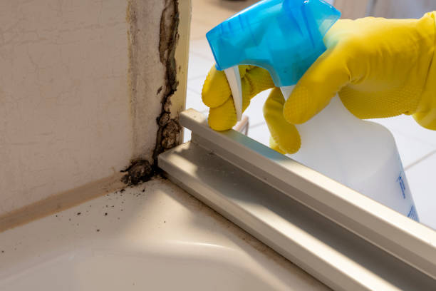 Slaughterville, OK Mold Remediation Company