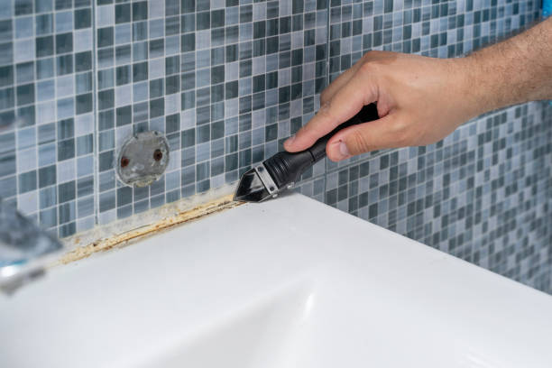 Best Preventive Mold Services in Slaughterville, OK