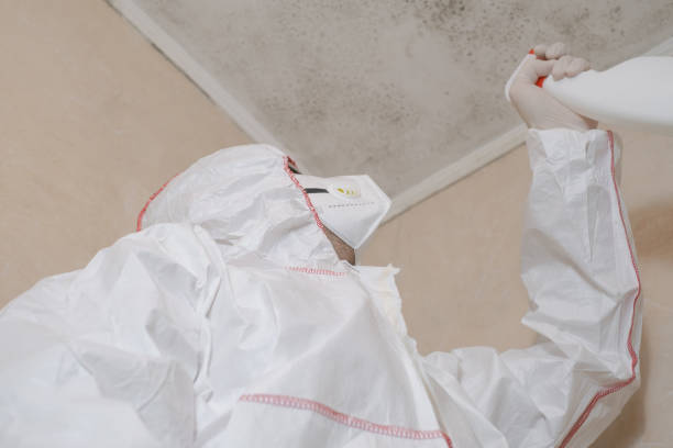 Best Localized Mold Remediation (e.g., coastal areas, humid climates) in Slaughterville, OK