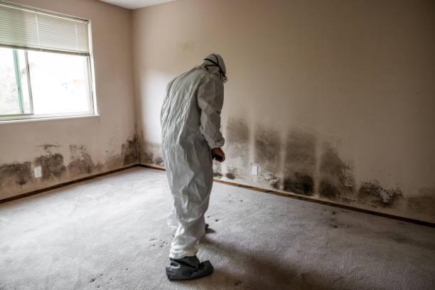 Best HVAC Mold Remediation in Slaughterville, OK
